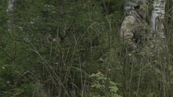 Katona megy az erdőben. Katonai karral küldött a bozót, zöld. Airsoft játék — Stock videók