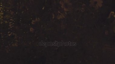 sokakta yürüyen genç sarışın kadın gece