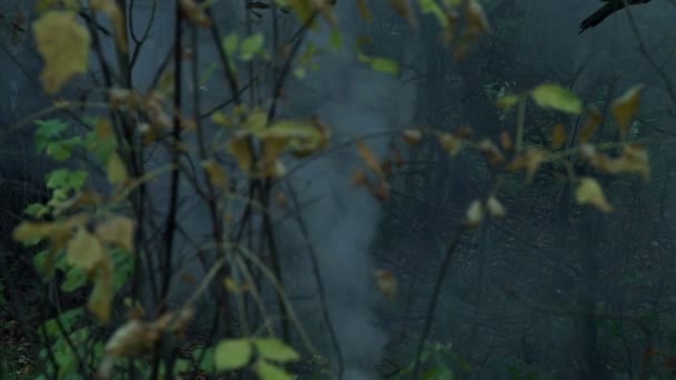 guerre dans les bois avec des fusils a terminé la tâche 