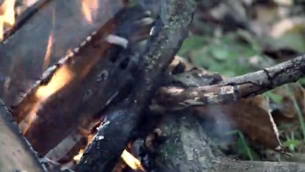 un feu brûlant dans la forêt 