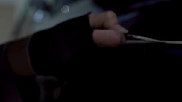 Master auto vopsele în stil Pinstripe — Videoclip de stoc