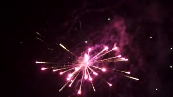 Voleas de fuegos artificiales en el cielo nocturno — Vídeo de stock