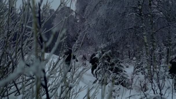 Armas militares nas florestas de inverno — Vídeo de Stock