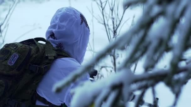 Militaire wapens in de bossen van de winter — Stockvideo