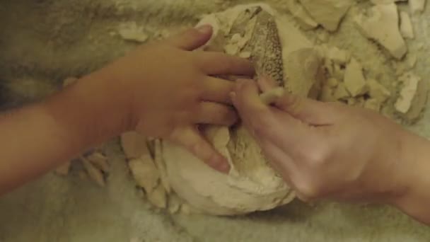 Familia jugando en la arqueología destruye el yeso para conseguir el esqueleto. excavaciones arqueológicas — Vídeo de stock