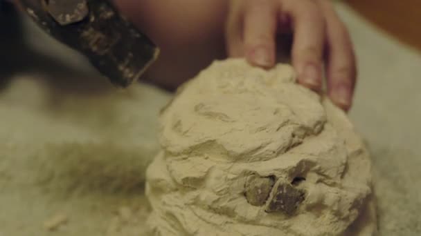 Родина, що грає в археології, руйнує штукатурку, щоб отримати скелет. археологічні розкопки — стокове відео