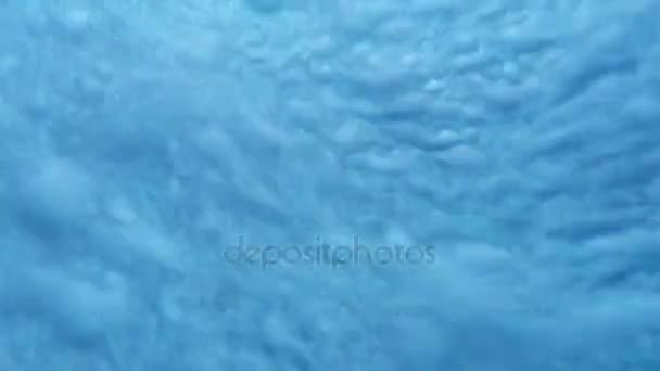 Water bubbles under water background slow motion. Water bubbles in jacuzzi — Stock Video