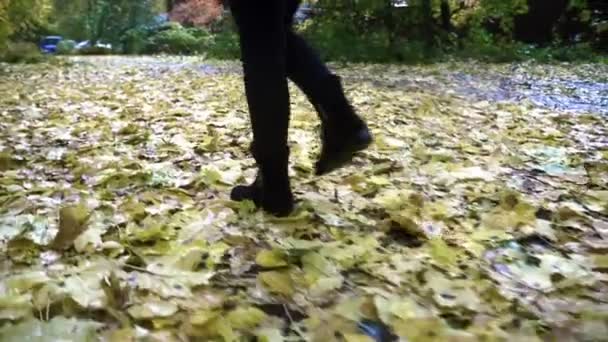 Gambe femminili in stivali neri che camminano su foglie cadute in giorno di autunno — Video Stock