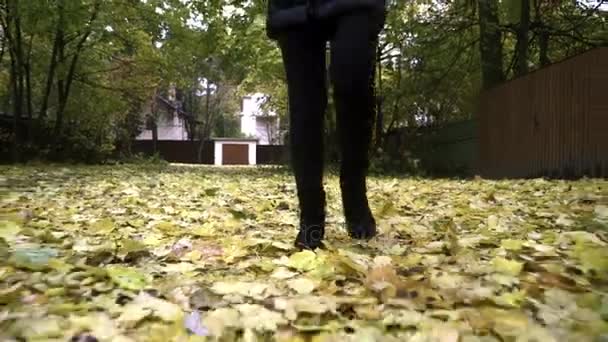 Женские ноги в черных сапогах ходят по опавшим листьям осенью — стоковое видео