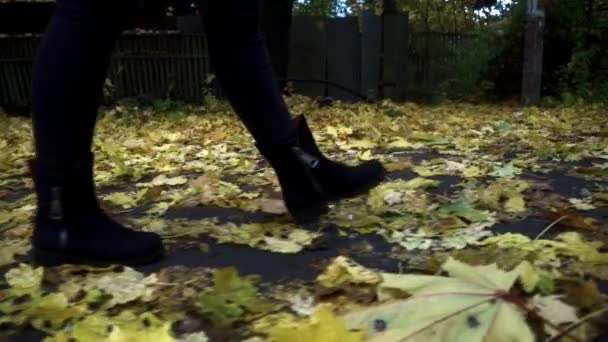 Női lábak séta a lehullott levelek az őszi nap fekete csizma — Stock videók