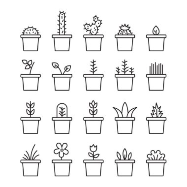 Beyaz arka plan üzerinde izole tencere çiçek bitki ve çiçek açan kaktüs ayarla