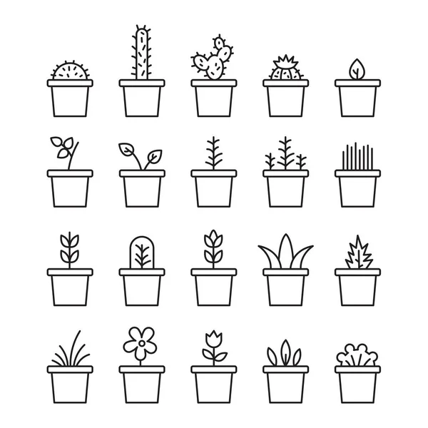 Nastavení rostliny a kvetoucí kaktus v květináčích izolovaných na bílém pozadí — Stockový vektor