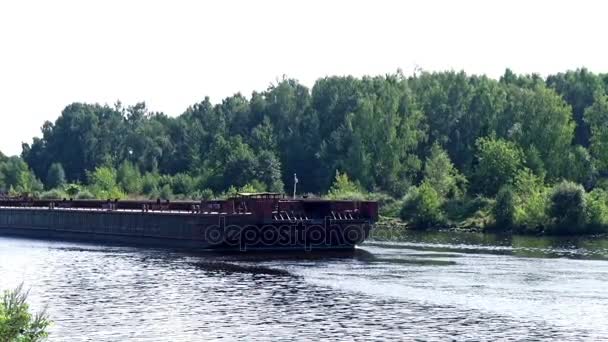 Грузовое судно плавает по реке в летний день на фоне зеленого леса — стоковое видео