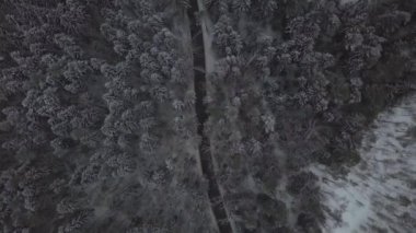Snowy orman kış yolda hareket uçan uçak arabadan havadan görünümü