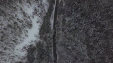 Otomobil ve kamyon karlı orman havadan görünümü kış yolda hareket