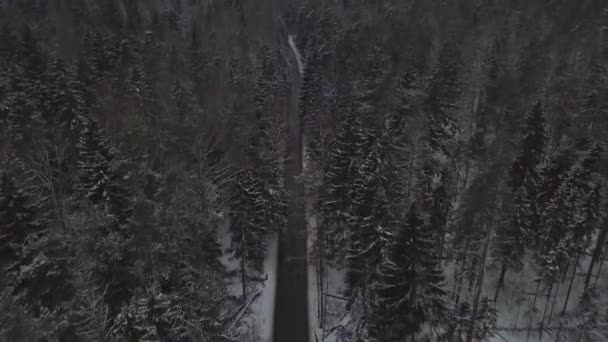 Autopista de invierno a través de bosque nevado. Invierno bosque carretera drone vista — Vídeos de Stock