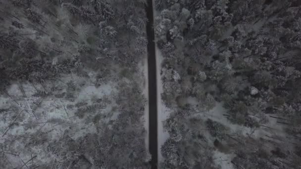 Automobilové dopravy na zimní silnici přes zasněžené lesní dron zobrazení — Stock video