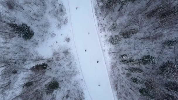 겨울 눈 산 스키장에서 스키와 스노우 보드. 겨울 휴가 — 비디오
