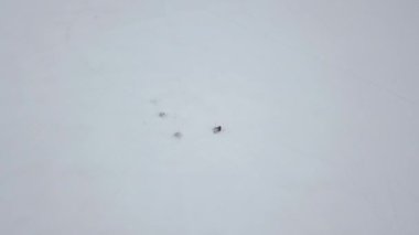 Havadan görünümü balıkçı kış gölde balıkçılık. Drone görünümü kış balıkçılık karlı donmuş göl üzerinde.