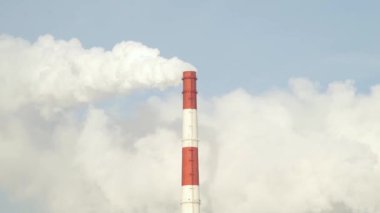 Isıtma tesisi üzerinde Endüstriyel boru bacasından duman. Beyaz duman termik Santrali üzerinde kazan borudan. Endüstriyel baca duman mavi gökyüzünde.
