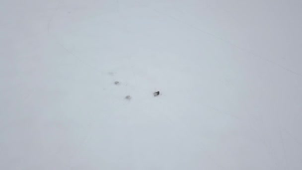 Pesca vista aérea pescador no lago de inverno. Drone vista inverno pesca no lago gelado nevado . — Vídeo de Stock