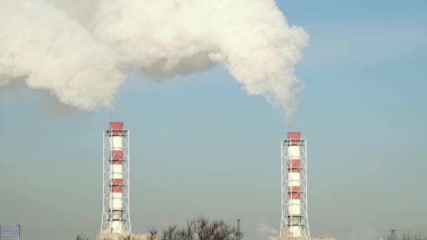 Rook uit ketel pijp op productie fabriek. Industriële schoorsteen rook in blauwe hemel. Witte rook uit industriële buizen op thermische elektriciteitscentrale. — Stockvideo