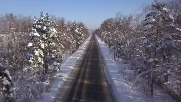 Drone vista coche en movimiento en la carretera de invierno en los árboles nevados de fondo. Vista aérea del tráfico de coches en carretera nevada en el paisaje de invierno . — Vídeo de stock