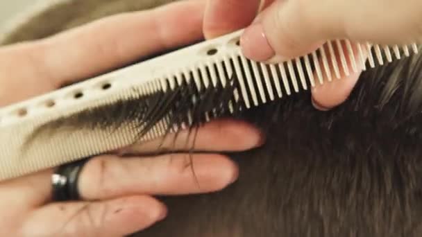 Hand haircutter combing wet hair and using hairdressing scissors for cutting close up. Hairdresser making male hairstyle with comb and hairdressing scissors in barber shop. — Stock Video