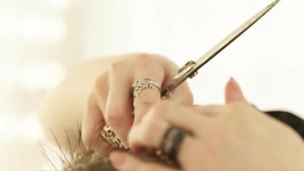 Kobieta fryzjerskiego strzyżenia włosów nożyczkami w klasie mistrzowskiej szkoły fryzjerskie. Bliska pasmo strzyżenia włosów z Profesjonalne nożyczki w salonie piękności. — Wideo stockowe