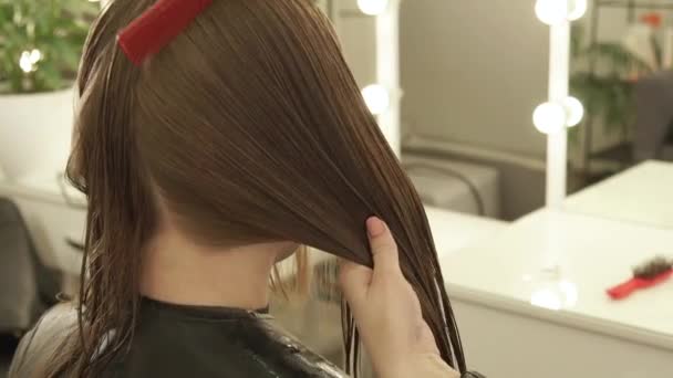 Coupe-cheveux à la main peigner les cheveux longs pendant la coupe de cheveux de la femme dans le salon de coiffure. Fermer coiffeur faisant coupe de cheveux féminine dans le salon de beauté . — Video