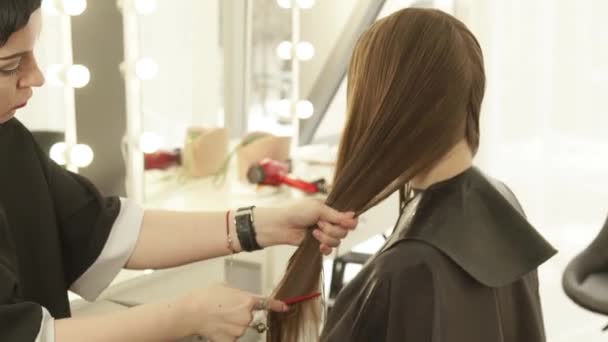 Peluquería peinar el cabello mojado durante el corte de pelo femenino en el salón de peluquería. Primer plano peluquería haciendo corte de pelo femenino en el salón de belleza . — Vídeo de stock