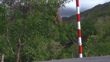 Şortlu bir kadın, dağ yolunda bir motor yavrusu sürüyor..