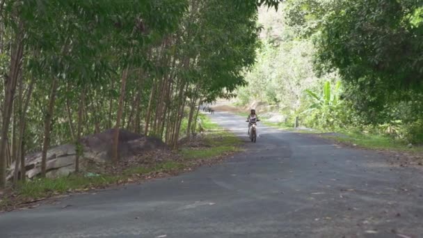 Rückansicht des touristischen Reitens Motorcub in tropischen Land, Urlaub, Urlaub. — Stockvideo