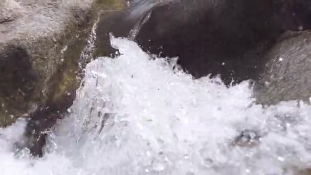 Primer plano del chorro de agua que fluye desde el río de montaña en el día de verano . — Vídeo de stock