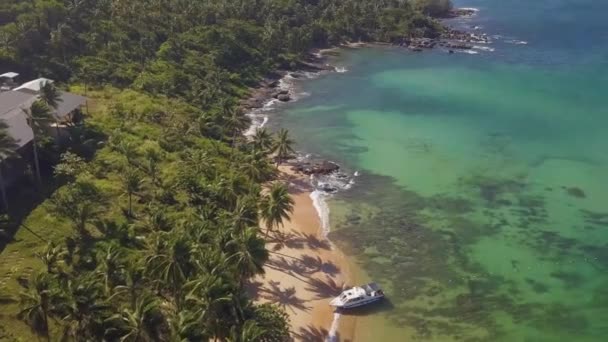 ヤシの木に囲まれた青い海のビーチと風光明媚な島での空中景色. — ストック動画