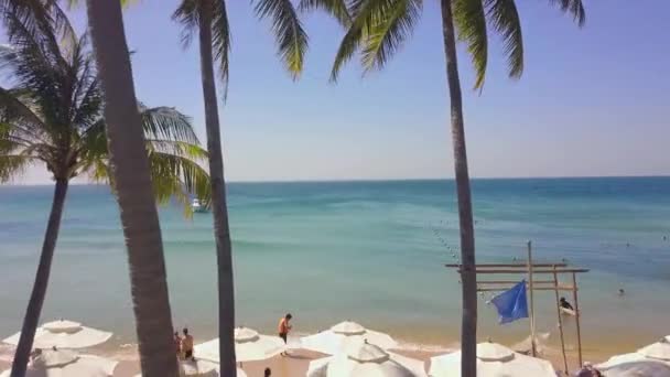 Drone fllight en un complejo de playa tropical entre palmeras hacia el mar azul — Vídeo de stock