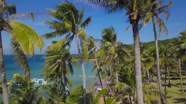 야자나무로 둘러싸여 있는 열대 섬의 휴양지 상공을 비행하는 비행기. — 비디오