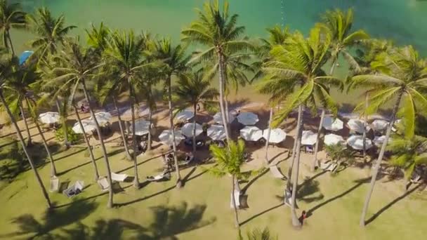 Vue aérienne d'une station tropicale chère avec un touriste relaxant pendant les vacances . — Video