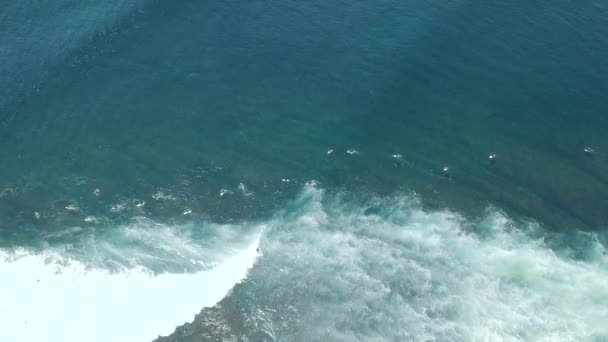 大規模な波の空中ビューサーフィンがクラッシュし、海のサーファーに飛び火 — ストック動画