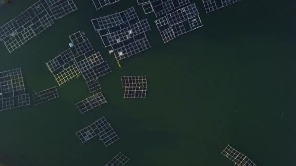 대나무 새장 이 가득 한 양어장 이 있는 호수 위를 선회하고 있는 공중 드론. — 비디오