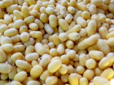 Dokulu arka plan için sarı koza