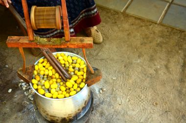 İpek solucan koza ipek yapmak için kaynar