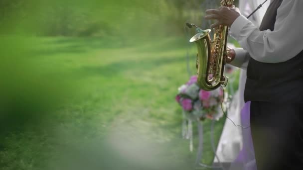 Saxophonist plays at the wedding outdoors. Trees at the front of the frame a plan to create blur. — Stockvideo