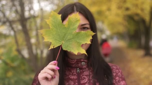 Retrato de menina bonita no parque de outono . — Vídeo de Stock
