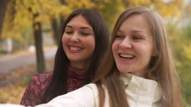 Two pretty girls walking in autumn park, make selfie, fooling around on camera — Stock Video