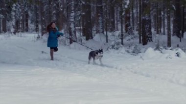 Kız Köpeğini bir kış ormandaki Husky ile çalışır