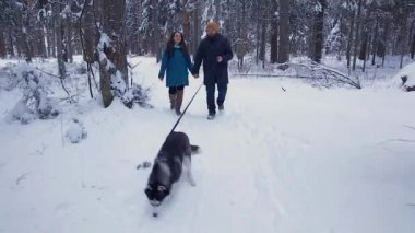 Husky köpek ile yürüme Çift