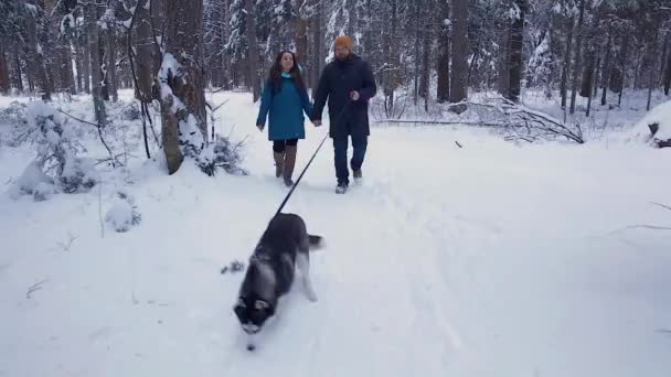 Pareja caminando con un perro Husky — Vídeos de Stock