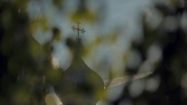 Orthodoxe Kirche Blick durch die Äste der Birke — Stockvideo