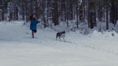 Kız Köpeğini bir kış ormandaki Husky ile çalışır
